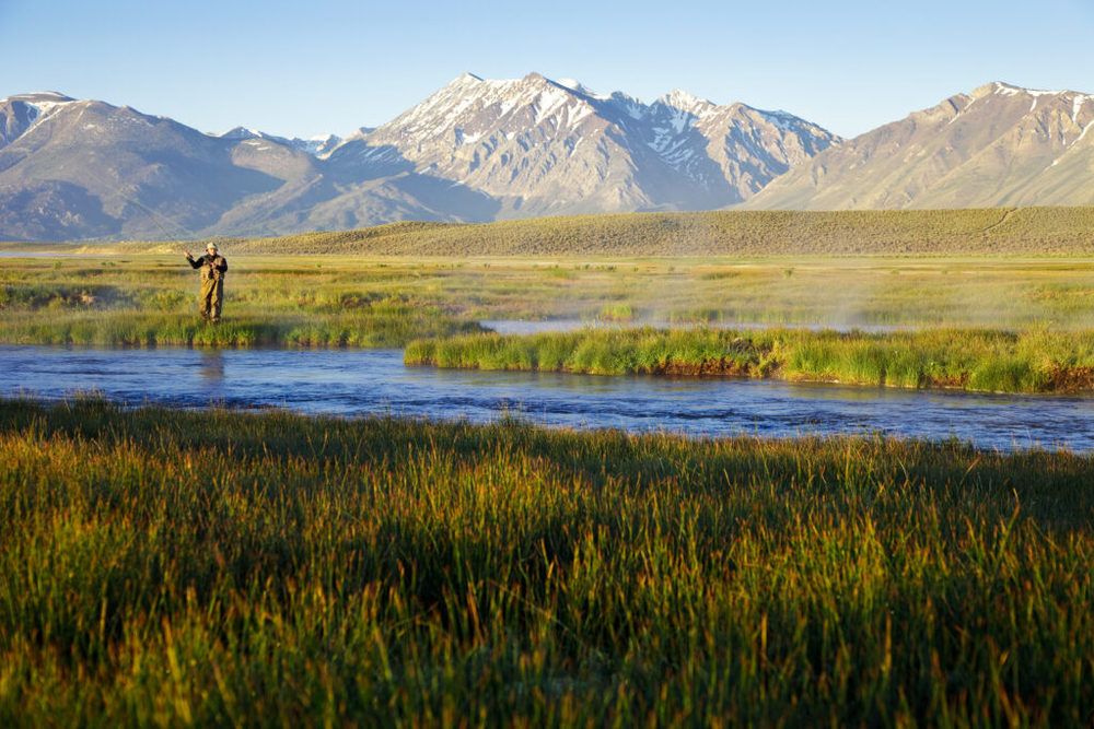M Lazy C Ranch : 801 County Road 453, Lake George, CO 80827